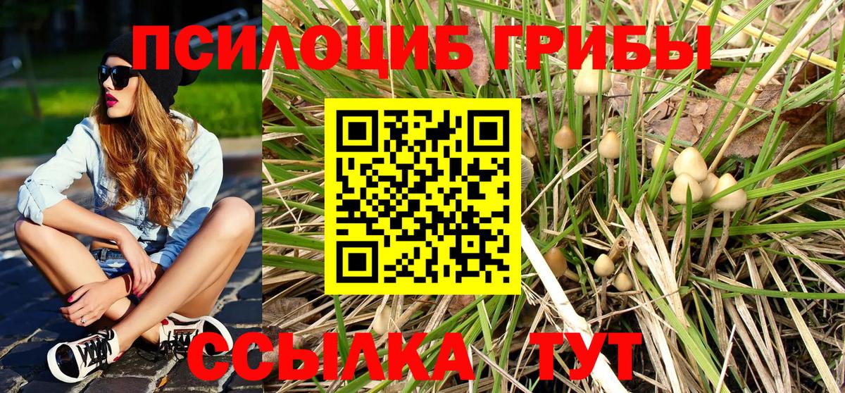 Псилоцибиновые грибы мухоморы Семёнов