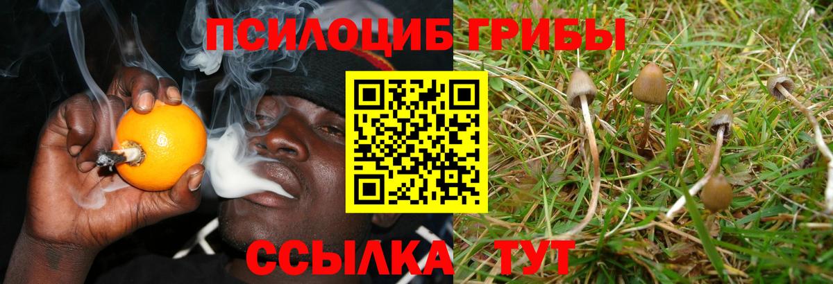 Псилоцибиновые грибы прущие грибы  купить наркоту  Семёнов  Вход с VPN  Псилоцибиновые грибы Magic Shrooms 